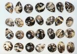 Lot: Polished Madagascar Black Opal Pendants - Pieces #138978-1